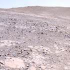 FLF_1395_0790779376_601ECM_N0650000FHAZ00203_10_195J