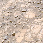 FLF_1395_0790779376_601ECM_N0650000FHAZ00203_13_195J