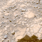 FLF_1395_0790781250_191ECM_N0650000FHAZ00203_13_195J