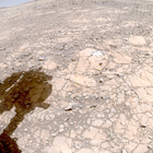FLF_1395_0790782242_425ECM_N0650000FHAZ02008_XX_095J