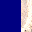 SIF_1396_0790869242_808EBY_N0650000SRLC00642_0000LMJ