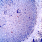 SIF_1396_0790869244_488EBY_N0650000SRLC00642_0000LMJ