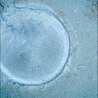 SIF_1396_0790898500_367EBY_N0650000SRLC09814_0000LMJ