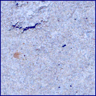 SIF_1396_0790899002_527EBY_N0650000SRLC09807_0000LMJ