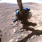 FLF_1401_0791324118_442ECM_N0660000FHAZ00215_01_275J