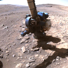 FLF_1401_0791324658_510ECM_N0660000FHAZ00215_01_275J