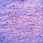 SIF_1404_0791579112_890EBY_N0670000SRLC00730_0000LMJ