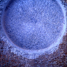 SIF_1404_0791583618_664EBY_N0670000SRLC01025_0000LMJ