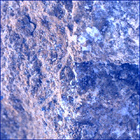 SIF_1405_0791676058_542EBY_N0670000SRLC00596_0000LMJ