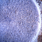 SIF_1405_0791676324_238EBY_N0670000SRLC00654_0000LMJ