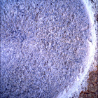 SIF_1405_0791676496_945EBY_N0670000SRLC00654_0000LMJ