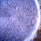 SIF_1405_0791676498_640EBY_N0670000SRLC00654_0000LMJ