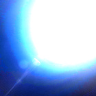 NLF_1412_0792288109_261ECM_N0680142NCAM00501_01_295J