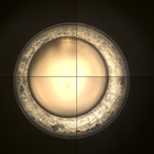 CCF_1413_0792406135_804EBYUN0680142CACH00221_XX_0LLJ