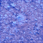 SIF_1413_0792383731_183EBY_N0680142SRLC02500_0000LMJ