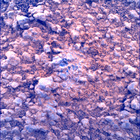 SIF_1413_0792383889_175EBY_N0680142SRLC00736_0000LMJ