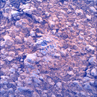 SIF_1413_0792383894_031EBY_N0680142SRLC00736_0000LMJ