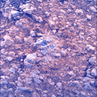 SIF_1413_0792383897_265EBY_N0680142SRLC00736_0000LMJ