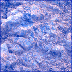 SIF_1413_0792384225_558EBY_N0680142SRLC00554_0000LMJ