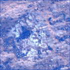 SIF_1420_0793005944_945EBY_N0690000SRLC00730_0000LMJ