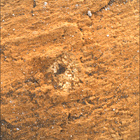 SIF_1420_0793005958_300EBY_N0690000SRLC00730_0000LMJ