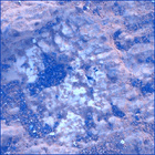SIF_1420_0793006310_652EBY_N0690000SRLC00536_0000LMJ