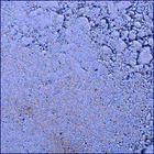 SIF_1424_0793358050_949EBY_N0690000SRLC00742_0000LMJ
