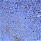 SIF_1424_0793384549_390EBY_N0690000SRLC08027_0000LMJ