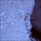 SIF_1424_0793385102_933EBY_N0690000SRLC08027_0000LMJ