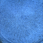 SIF_1424_0793386913_570EBY_N0690000SRLC09807_0000LMJ