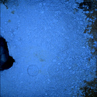 SIF_1426_0793563490_292EBY_N0690000SRLC09814_0000LMJ