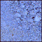 SIF_1426_0793563716_667EBY_N0690000SRLC09811_0000LMJ