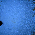 SIF_1426_0793563735_554EBY_N0690000SRLC09811_0000LMJ