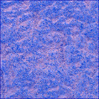 SIF_1436_0794423466_390EBY_N0692124SRLC00742_0000LMJ