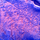 SIF_1436_0794423495_863EBY_N0692124SRLC00742_0000LMJ