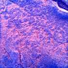 SIF_1436_0794423497_531EBY_N0692124SRLC00742_0000LMJ