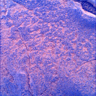 SIF_1436_0794423500_859EBY_N0692124SRLC00742_0000LMJ