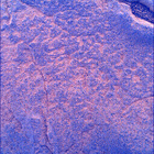 SIF_1436_0794423502_523EBY_N0692124SRLC00742_0000LMJ