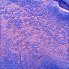 SIF_1436_0794423504_187EBY_N0692124SRLC00742_0000LMJ