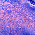 SIF_1436_0794423505_851EBY_N0692124SRLC00742_0000LMJ