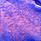 SIF_1436_0794423507_515EBY_N0692124SRLC00742_0000LMJ