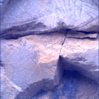 SIF_1436_0794428362_332EBY_N0692124SRLC00749_0000LMJ