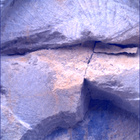SIF_1436_0794428363_980EBY_N0692124SRLC00749_0000LMJ