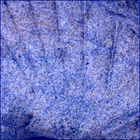 SIF_1437_0794509487_242EBY_N0692124SRLC00655_0000LMJ