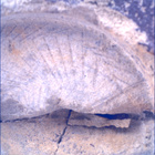 SIF_1437_0794509515_570EBY_N0692124SRLC00655_0000LMJ