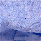 SIF_1437_0794509664_917EBY_N0692124SRLC00655_0000LMJ