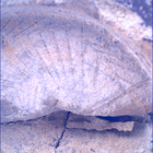 SIF_1437_0794509877_820EBY_N0692124SRLC00561_0000LMJ