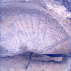 SIF_1437_0794509884_949EBY_N0692124SRLC00561_0000LMJ