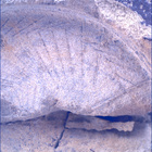 SIF_1437_0794509886_730EBY_N0692124SRLC00561_0000LMJ