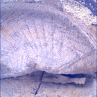 SIF_1437_0794509888_511EBY_N0692124SRLC00561_0000LMJ